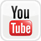 Apre la pagina camerale del social network Youtube - Link: www.youtube.com/channel/UCoCg-C_msGroaKwZ_1c3n0A